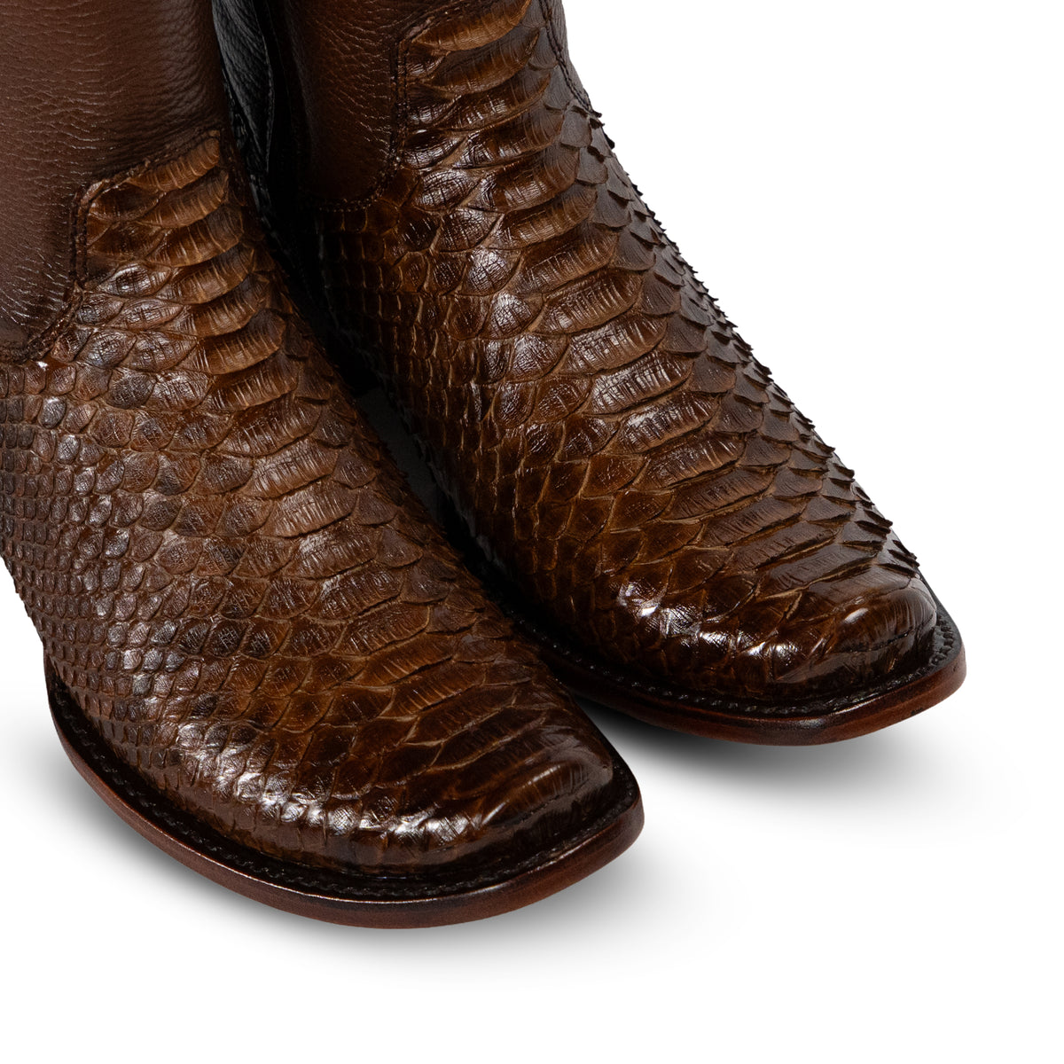 432 TEXAS PITON MIEL